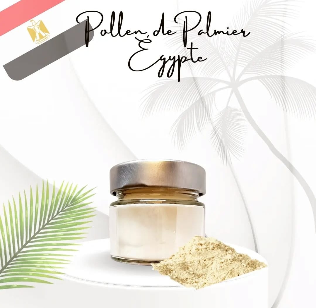 Pollen de palmier d'égypte