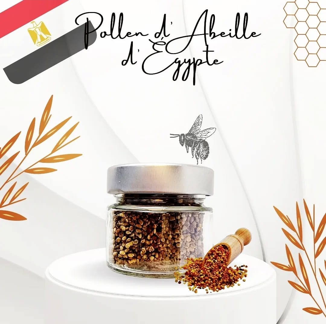 Pollen d'abeille d'égypte
